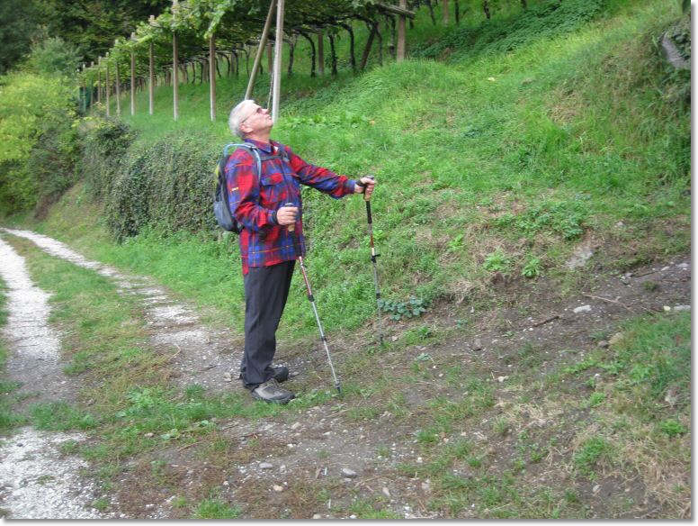 Algund2 (10).jpg